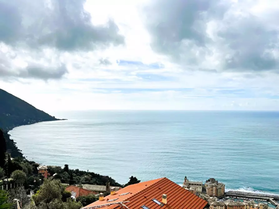 Immagine 8 di Appartamento in vendita  in Via Aurelia 61 a Camogli