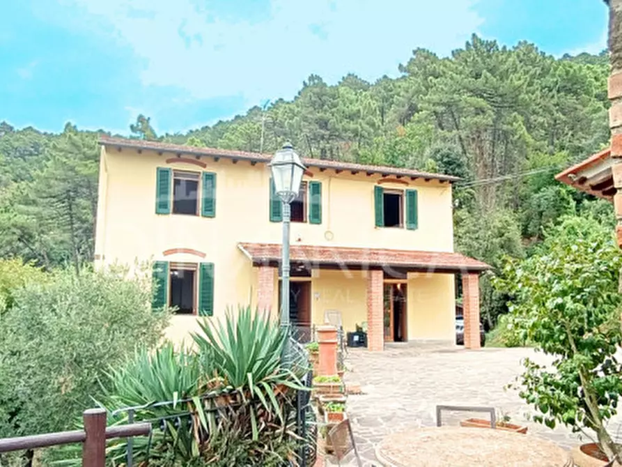 Immagine 2 di Rustico / casale in vendita  a Vinci