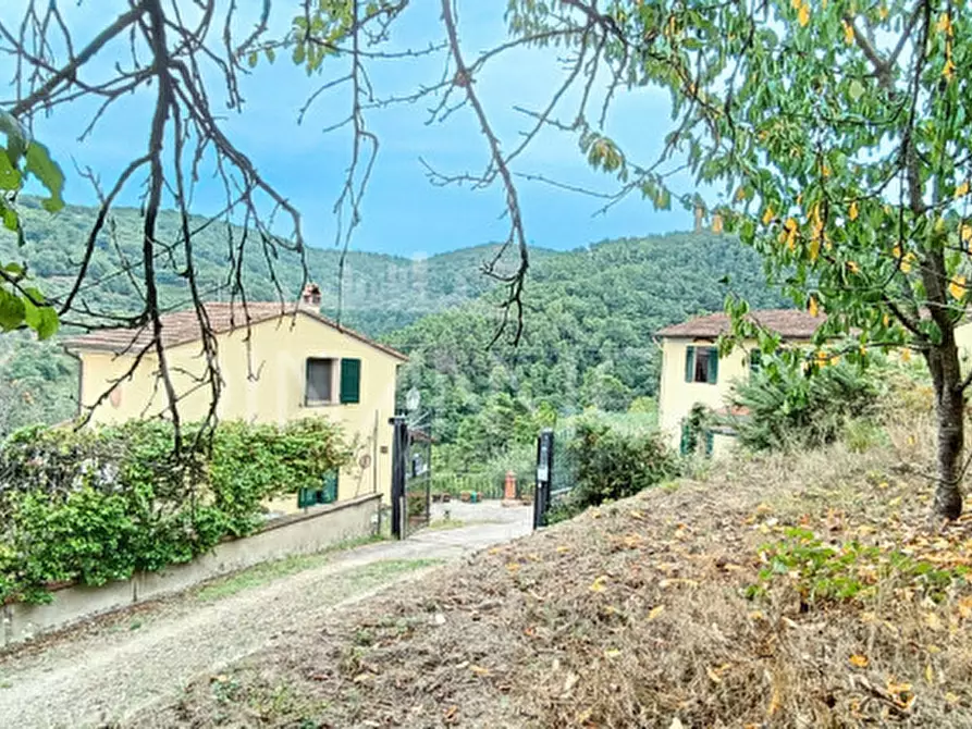 Immagine 4 di Rustico / casale in vendita  a Vinci