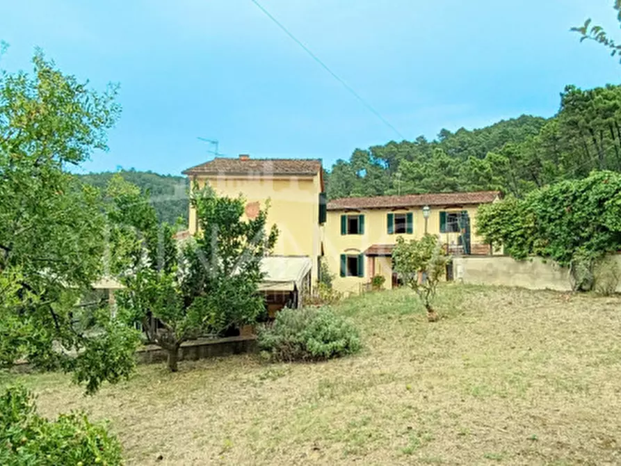 Immagine 5 di Rustico / casale in vendita  a Vinci