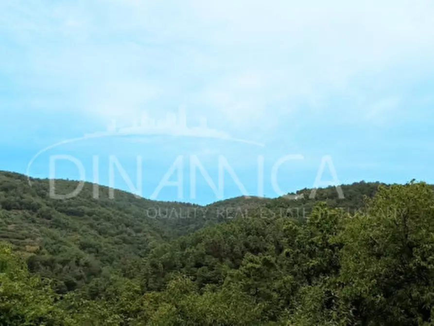 Immagine 6 di Rustico / casale in vendita  a Vinci