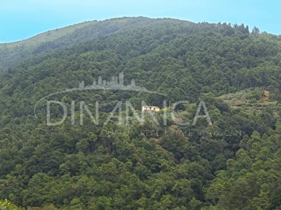 Immagine 9 di Rustico / casale in vendita  a Vinci