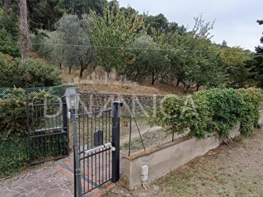 Immagine 40 di Rustico / casale in vendita  a Vinci