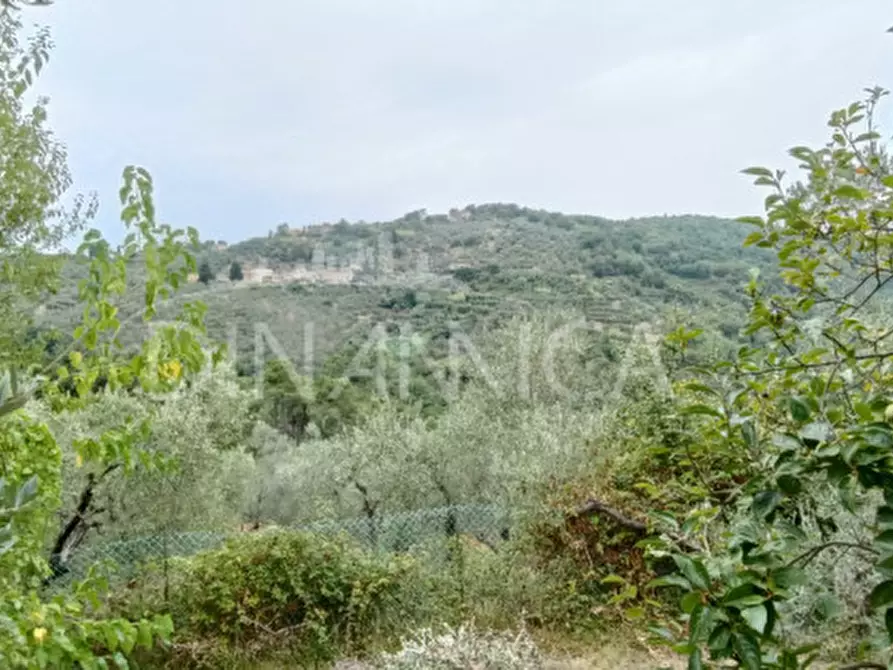 Immagine 41 di Rustico / casale in vendita  a Vinci