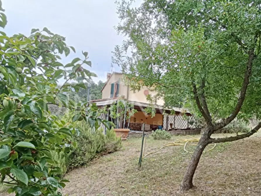 Immagine 42 di Rustico / casale in vendita  a Vinci