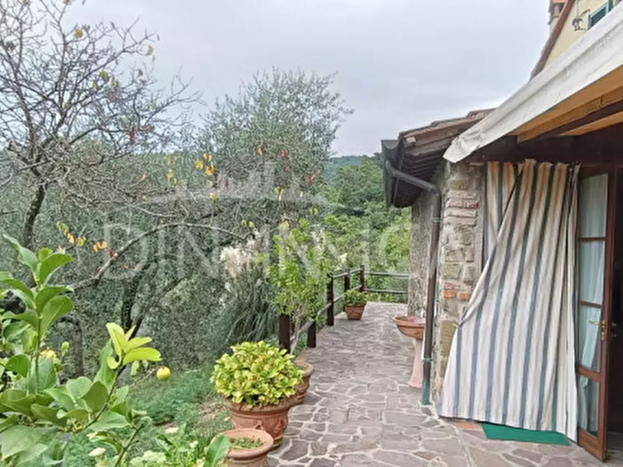 Immagine 44 di Rustico / casale in vendita  a Vinci