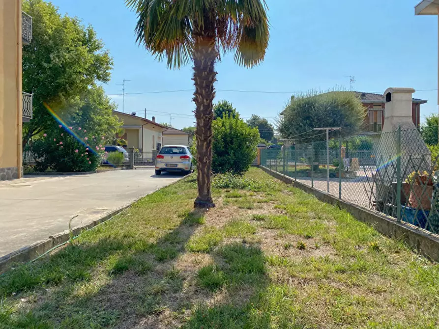 Immagine 7 di Appartamento in vendita  in Via della Pace a Mirandola