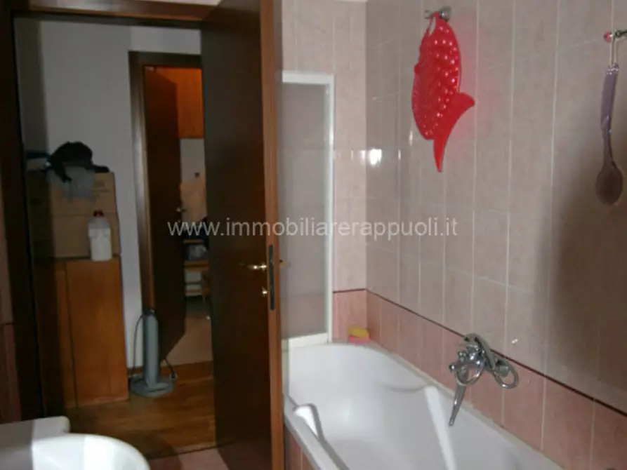 Immagine 8 di Appartamento in vendita  a Sinalunga