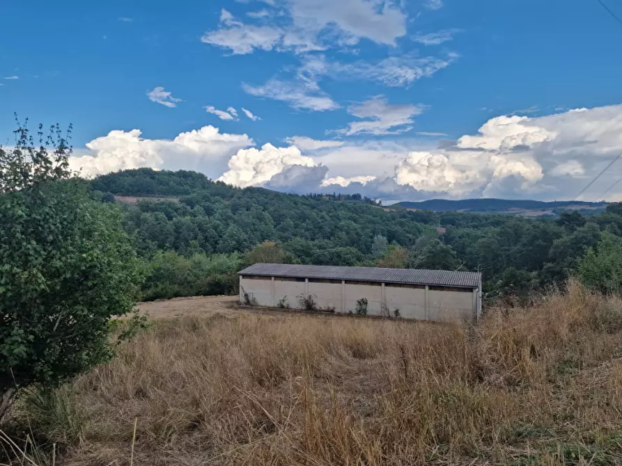 Immagine 3 di Rustico / casale in vendita  a Montepulciano