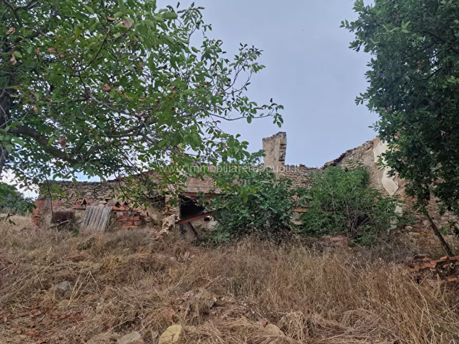 Immagine 5 di Rustico / casale in vendita  a Montepulciano