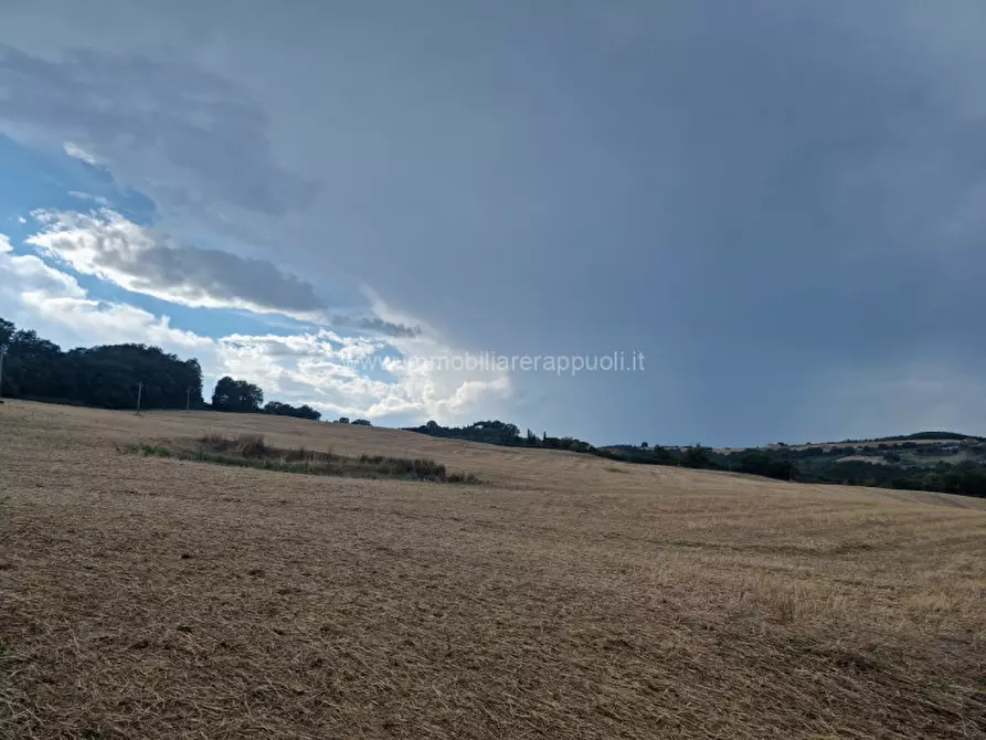 Immagine 8 di Rustico / casale in vendita  a Montepulciano