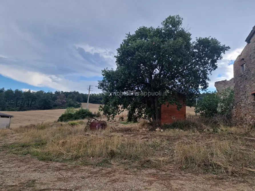 Immagine 11 di Rustico / casale in vendita  a Montepulciano