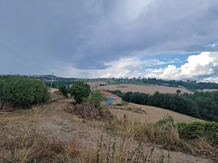 Immagine 16 di Rustico / casale in vendita  a Montepulciano
