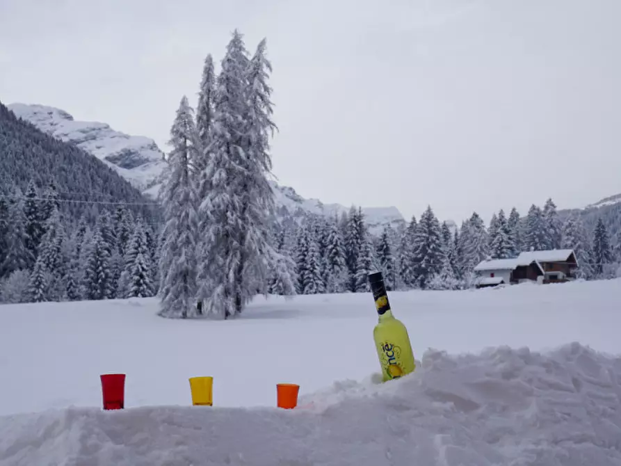 Immagine 1 di Casa indipendente in vendita  a Falcade