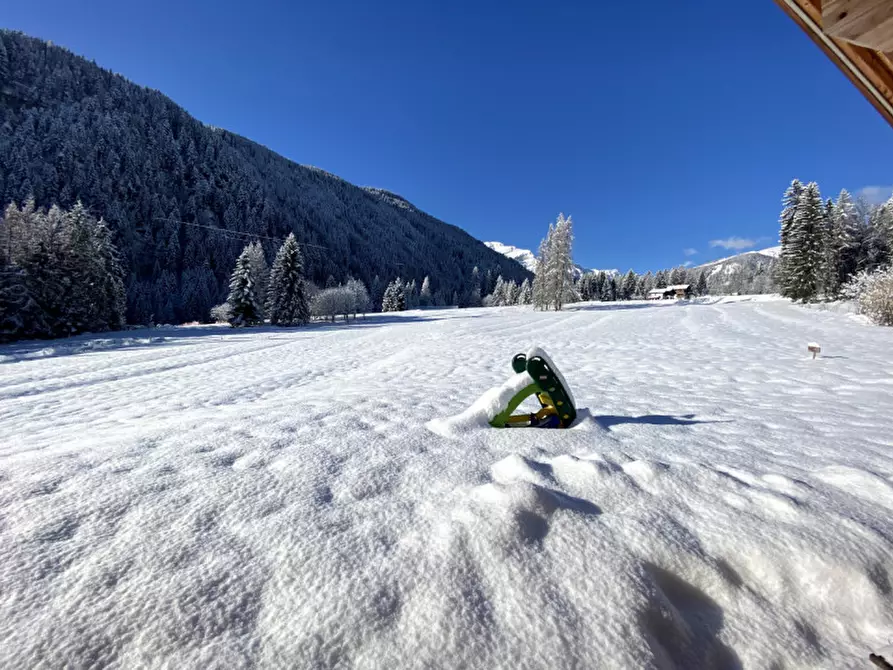 Immagine 2 di Casa indipendente in vendita  a Falcade