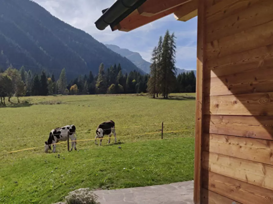 Immagine 3 di Casa indipendente in vendita  a Falcade