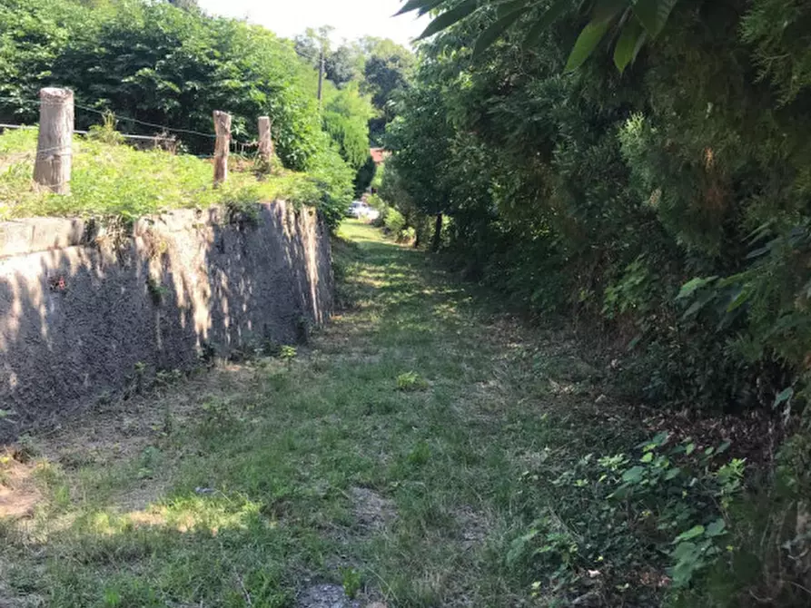 Immagine 5 di Rustico / casale in vendita  in VIA MONTE ROSOLEO 10 a Albettone