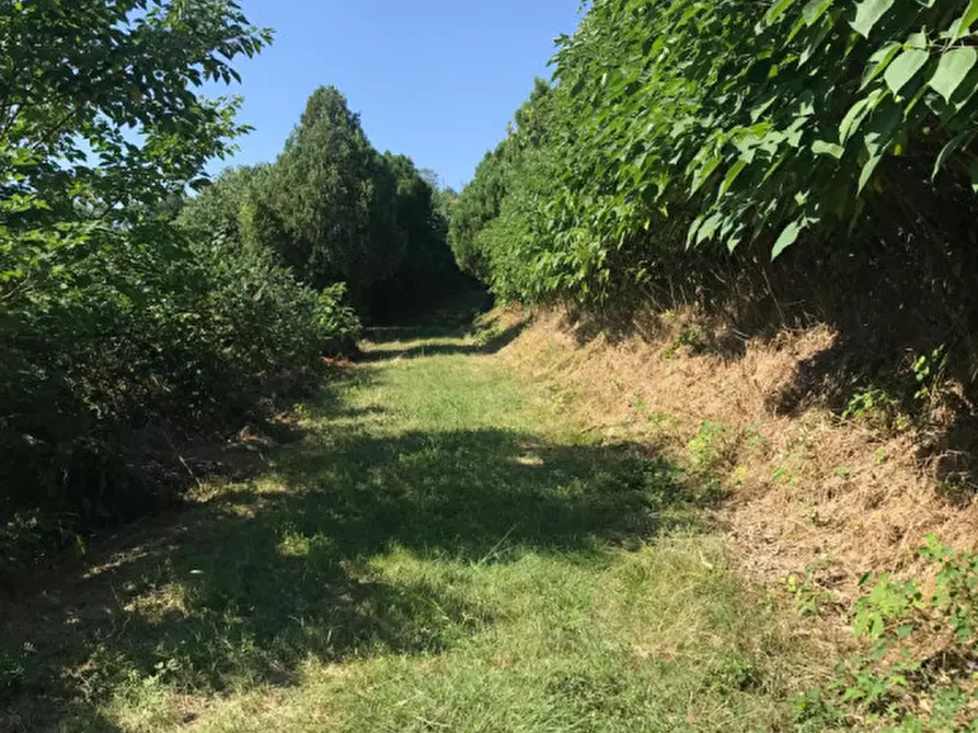 Immagine 7 di Rustico / casale in vendita  in VIA MONTE ROSOLEO 10 a Albettone