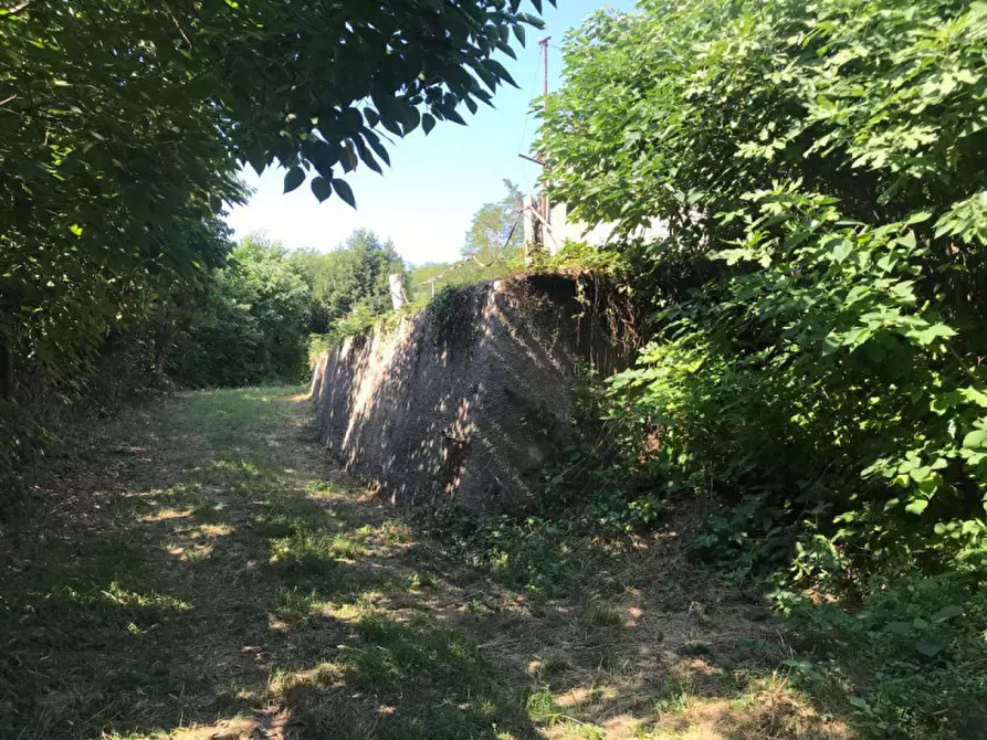 Immagine 10 di Rustico / casale in vendita  in VIA MONTE ROSOLEO 10 a Albettone