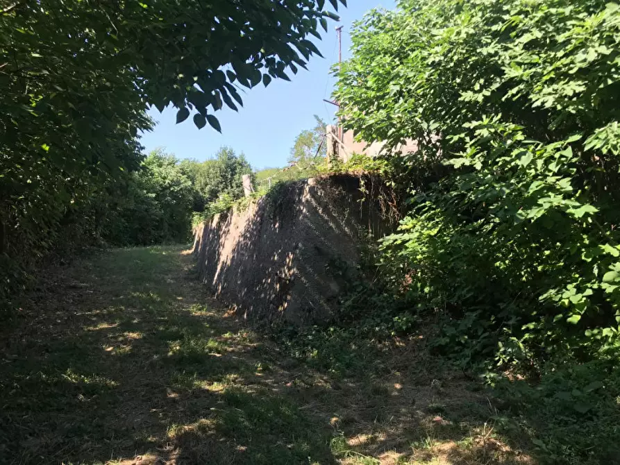 Immagine 12 di Rustico / casale in vendita  in VIA MONTE ROSOLEO 10 a Albettone