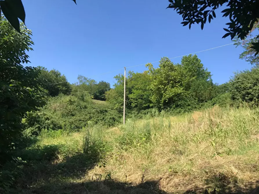 Immagine 13 di Rustico / casale in vendita  in VIA MONTE ROSOLEO 10 a Albettone