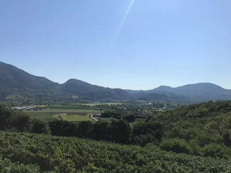 Immagine 14 di Rustico / casale in vendita  in VIA MONTE ROSOLEO 10 a Albettone