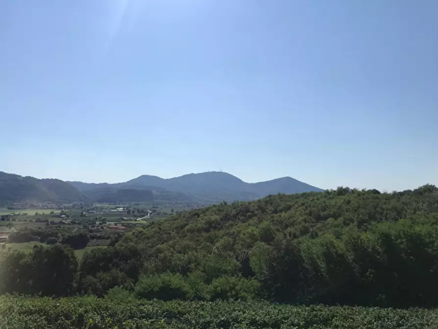 Immagine 16 di Rustico / casale in vendita  in VIA MONTE ROSOLEO 10 a Albettone