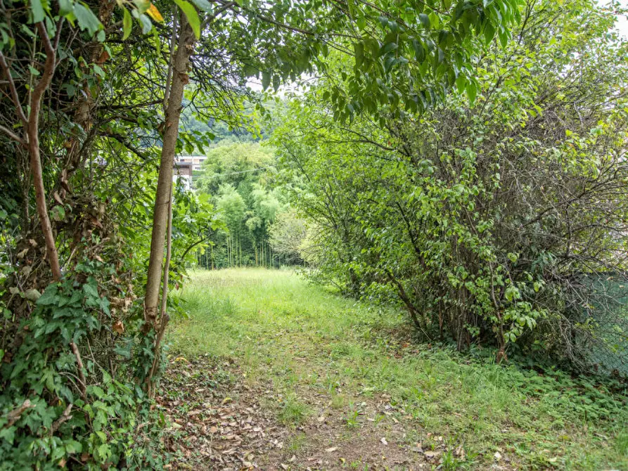 Immagine 9 di Casa bifamiliare in vendita  in Via Cesare Battisti a Badia Calavena