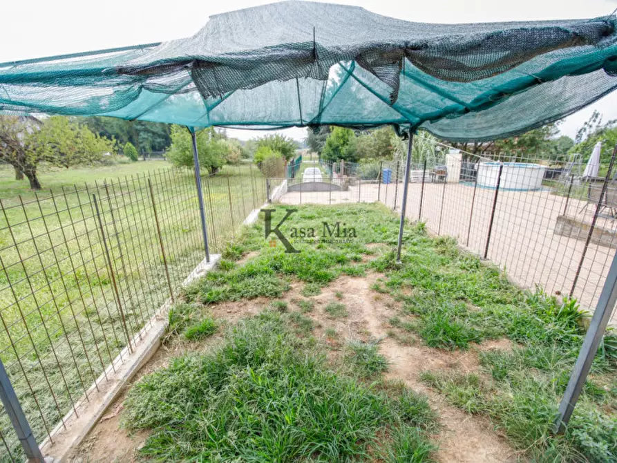 Immagine 39 di Casa indipendente in vendita  in via Berta 3 a Montalenghe