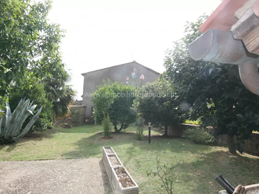 Immagine 13 di Casa indipendente in affitto  a Sinalunga