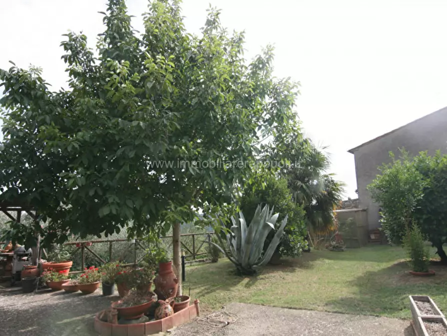 Immagine 14 di Casa indipendente in affitto  a Sinalunga