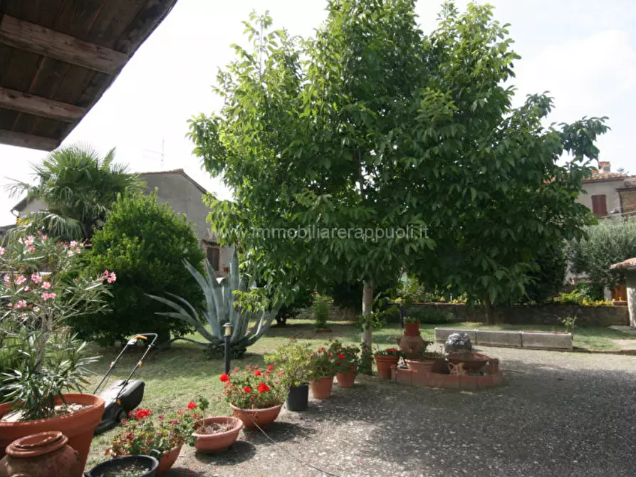 Immagine 17 di Casa indipendente in affitto  a Sinalunga