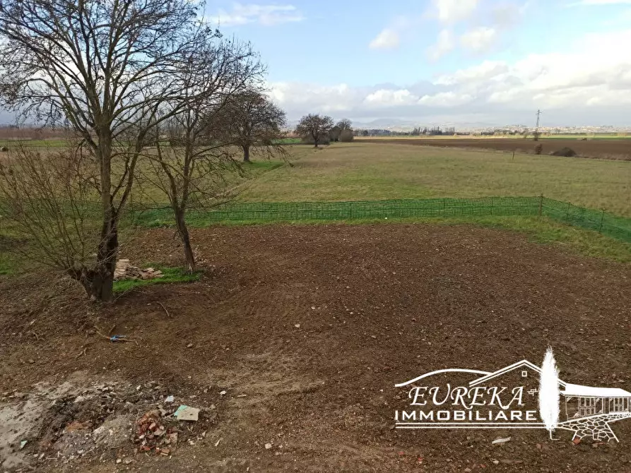 Immagine 17 di Casa indipendente in vendita  in Strada comunale di Località Binami a Castiglione Del Lago