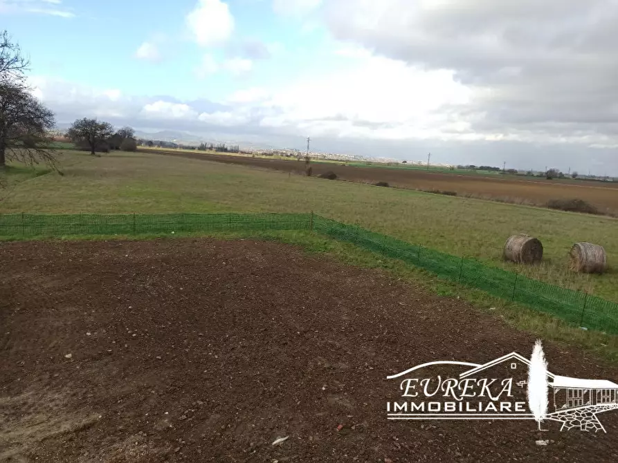 Immagine 19 di Casa indipendente in vendita  in Strada comunale di Località Binami a Castiglione Del Lago