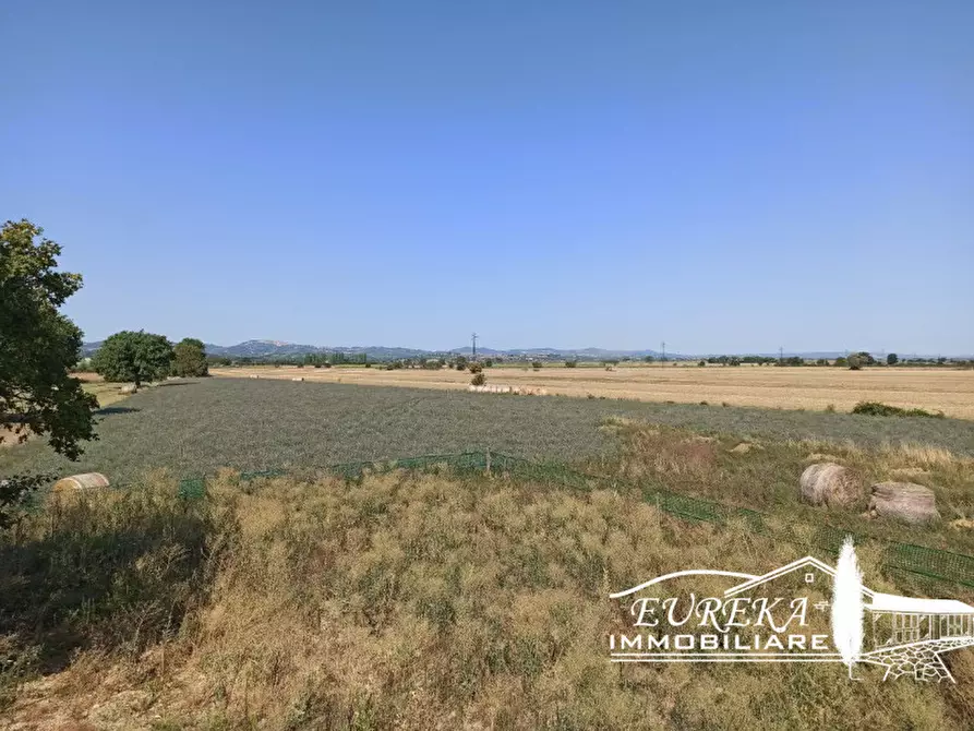 Immagine 23 di Casa indipendente in vendita  in Strada comunale di Località Binami a Castiglione Del Lago