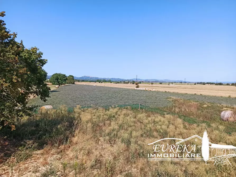 Immagine 24 di Casa indipendente in vendita  in Strada comunale di Località Binami a Castiglione Del Lago