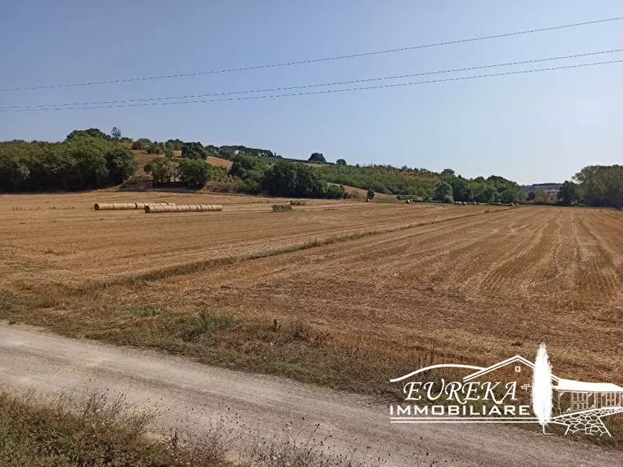 Immagine 34 di Casa indipendente in vendita  in Strada comunale di Località Binami a Castiglione Del Lago