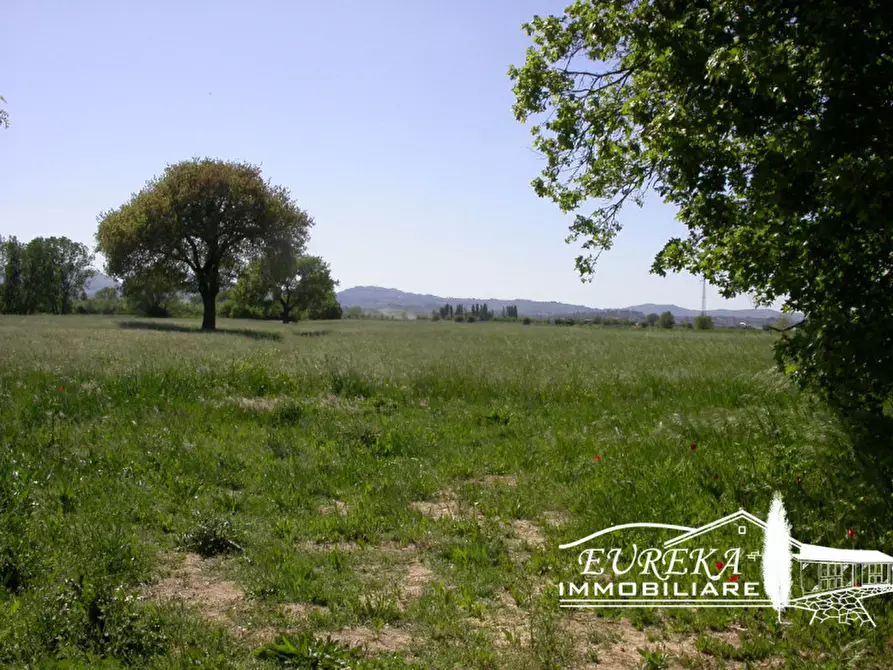 Immagine 41 di Casa indipendente in vendita  in Strada comunale di Località Binami a Castiglione Del Lago