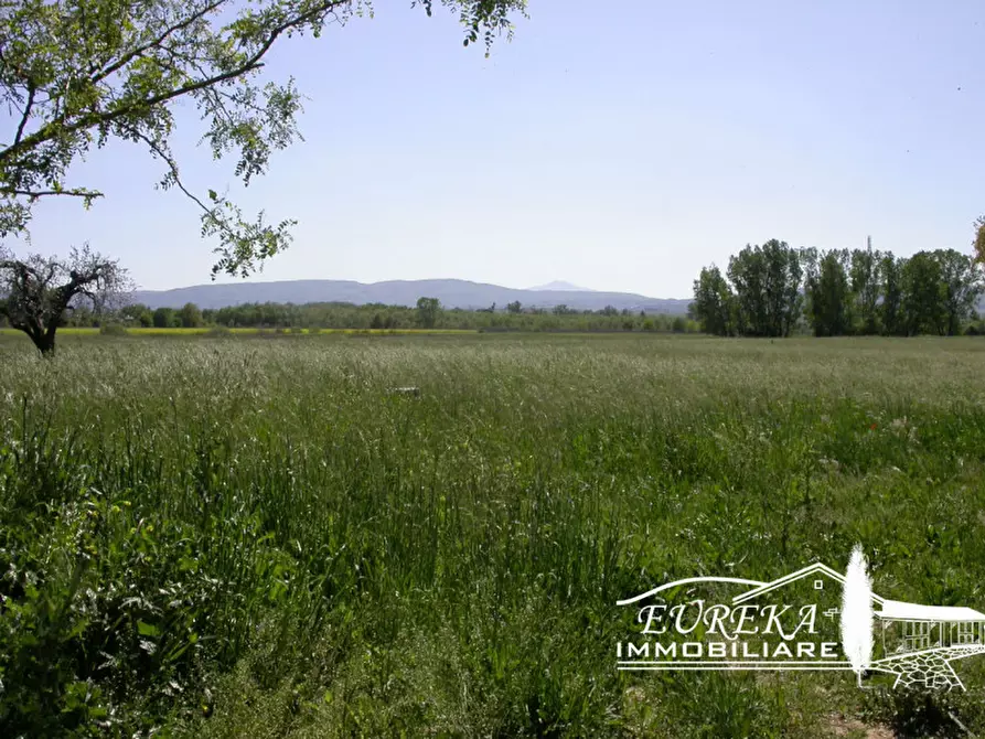 Immagine 42 di Casa indipendente in vendita  in Strada comunale di Località Binami a Castiglione Del Lago