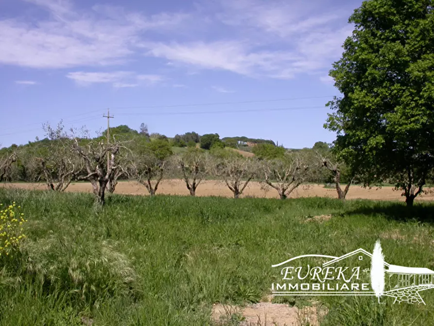 Immagine 43 di Casa indipendente in vendita  in Strada comunale di Località Binami a Castiglione Del Lago