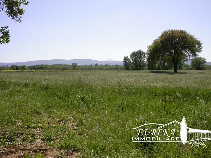 Immagine 45 di Casa indipendente in vendita  in Strada comunale di Località Binami a Castiglione Del Lago