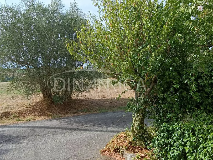 Immagine 7 di Casa indipendente in vendita  a Vinci