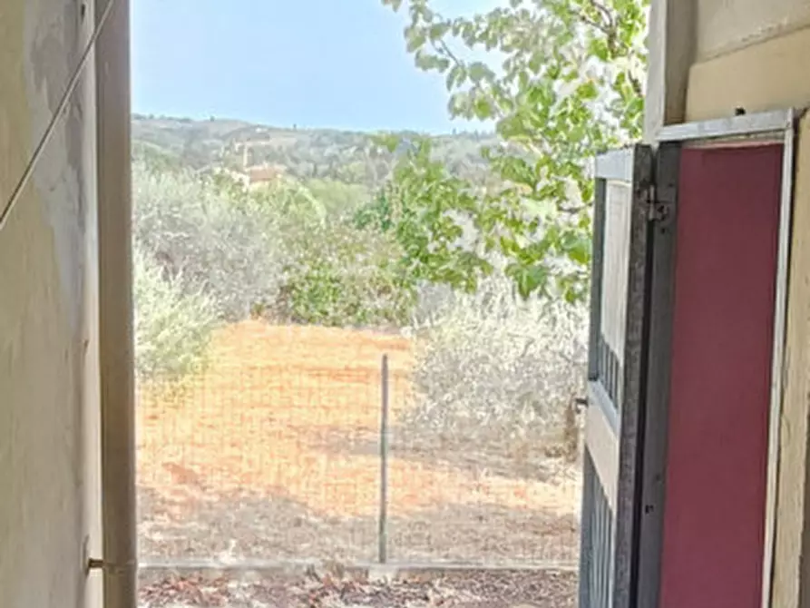 Immagine 9 di Casa indipendente in vendita  a Vinci