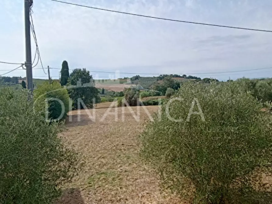 Immagine 15 di Casa indipendente in vendita  a Vinci