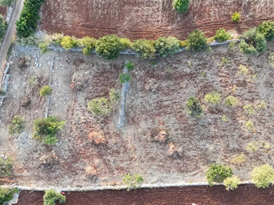 Immagine 1 di Terreno in vendita  in contrada san luigi a Polignano A Mare