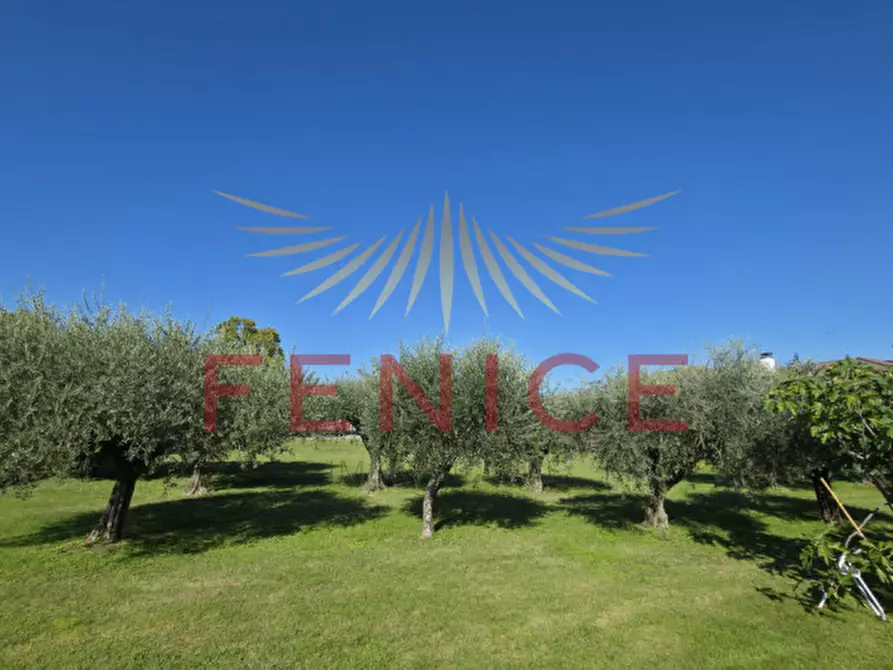 Immagine 5 di Terreno in vendita  in via enrico fermi a Caerano Di San Marco