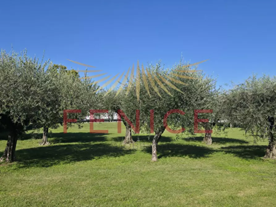 Immagine 6 di Terreno in vendita  in via enrico fermi a Caerano Di San Marco