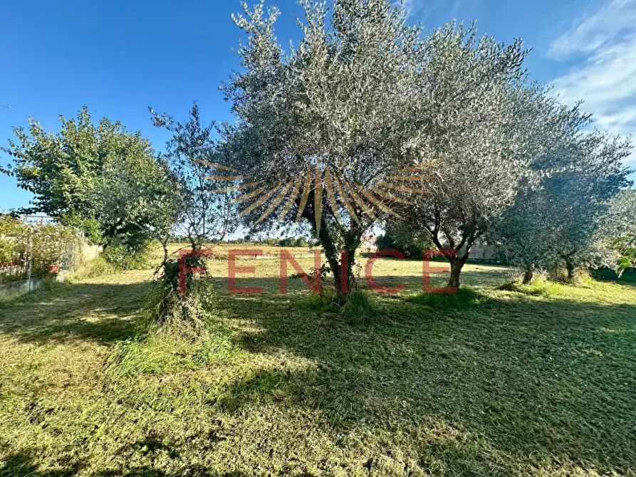 Immagine 5 di Terreno in vendita  in via san marco 111 a Caerano Di San Marco