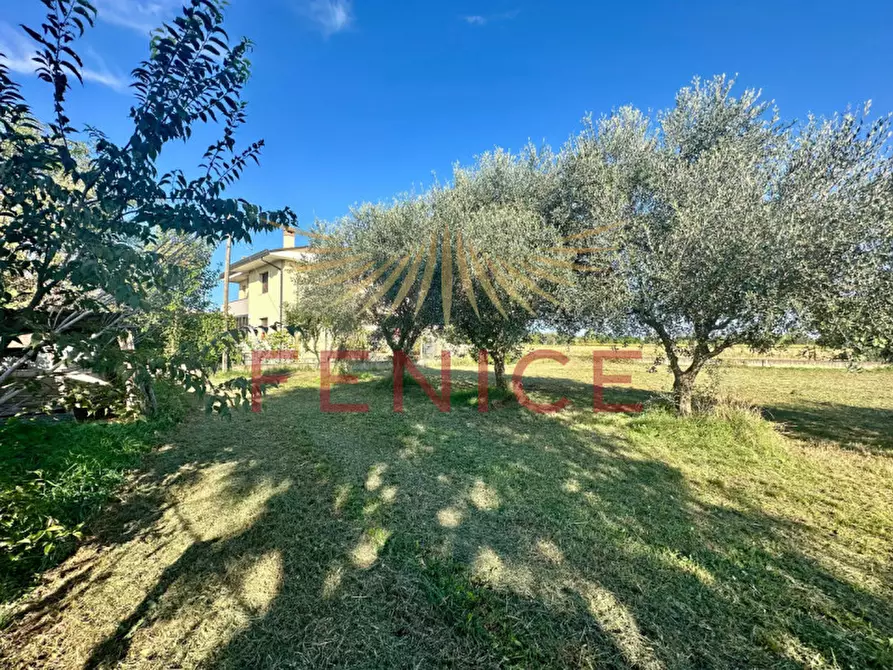 Immagine 7 di Terreno in vendita  in via san marco 111 a Caerano Di San Marco