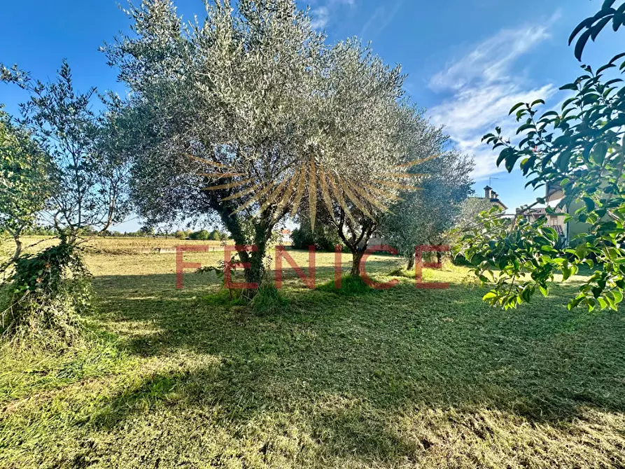 Immagine 10 di Terreno in vendita  in via san marco 111 a Caerano Di San Marco